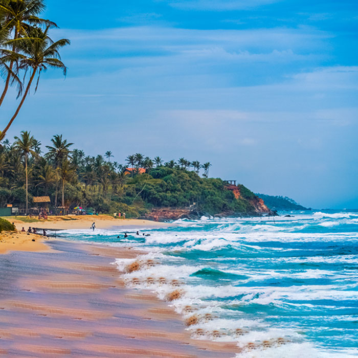 Unveiling Sri Lanka’s Best Beaches
