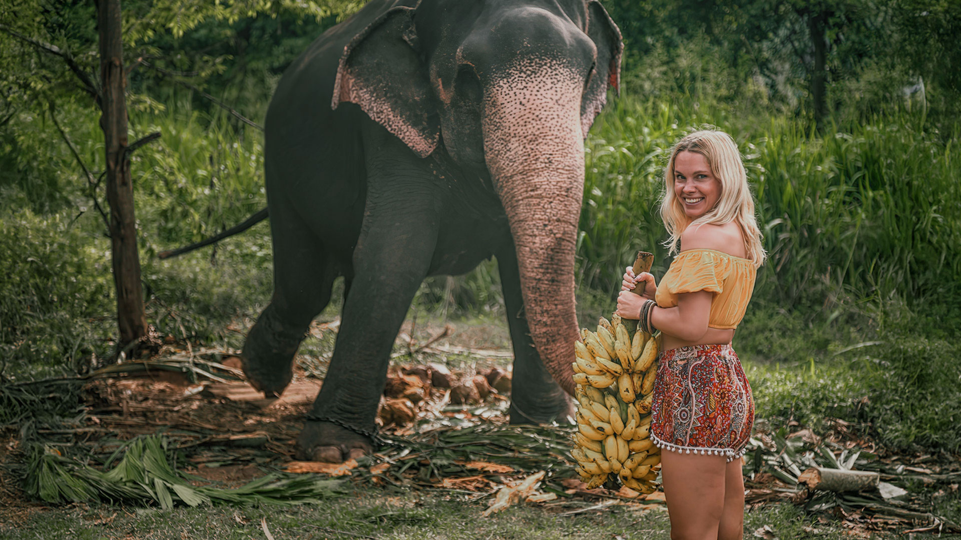 A-tourist-women-Feeding-Bananas-to-Elephant-Sri-Lanka