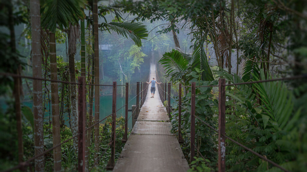 Suspension-Bridge-in-Jungle-Sri-Lanka
