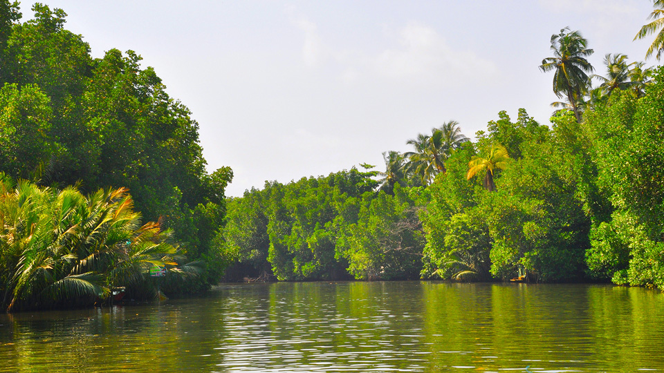 Madhu River