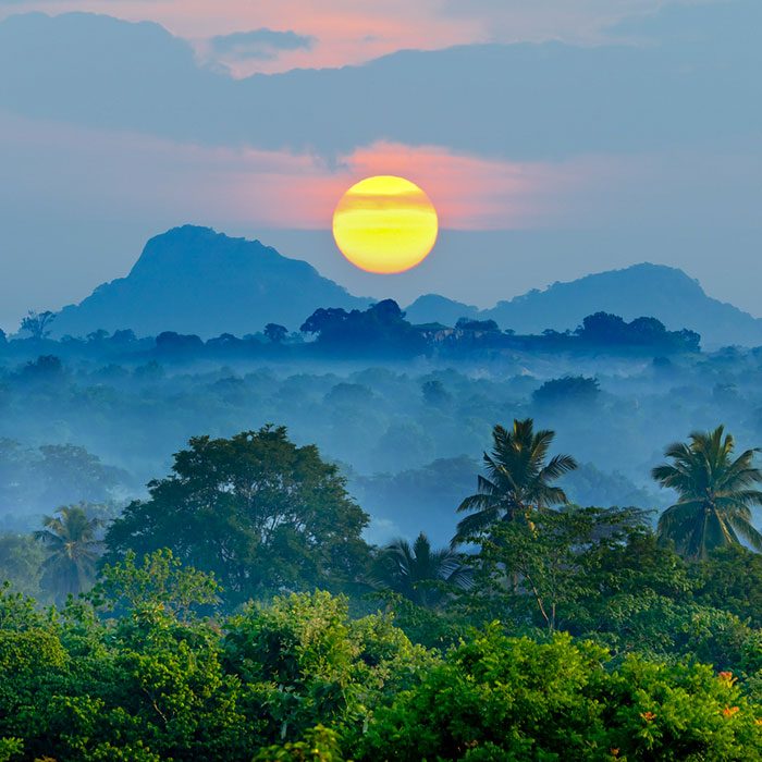 In Sri Lanka, you can expect a scenic view at every turn